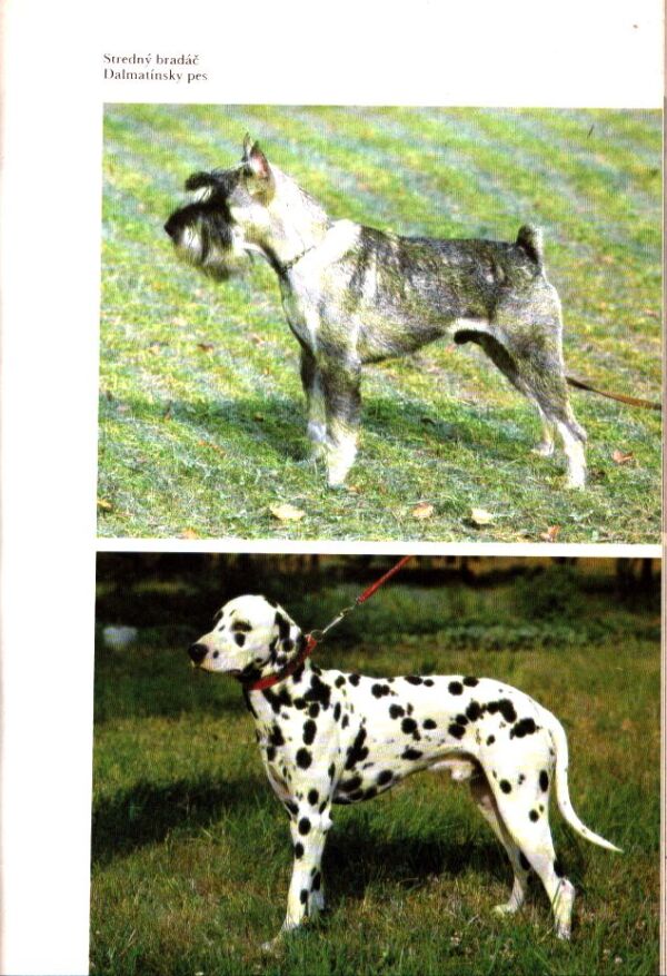 D. Najmanová, Z. Humpál: ATLAS PLEMIEN PSOV