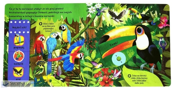 PRVÉ OBJAVY - KRÁSNE VTÁKY