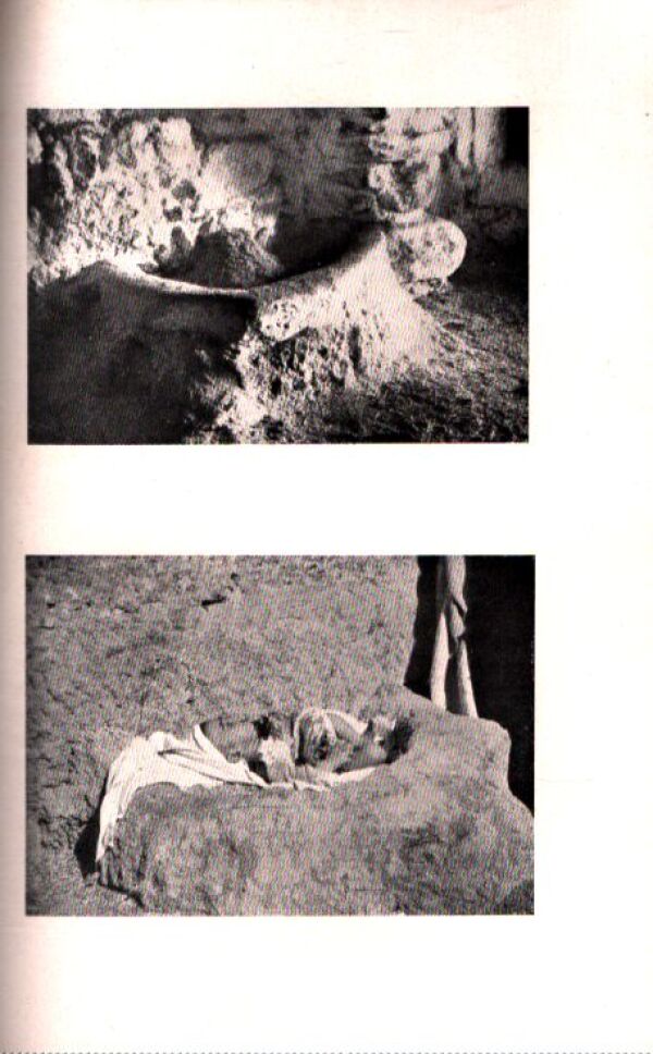 Franz Michel William: ŽIVOT MARIE MATKY JEŽÍŠOVY