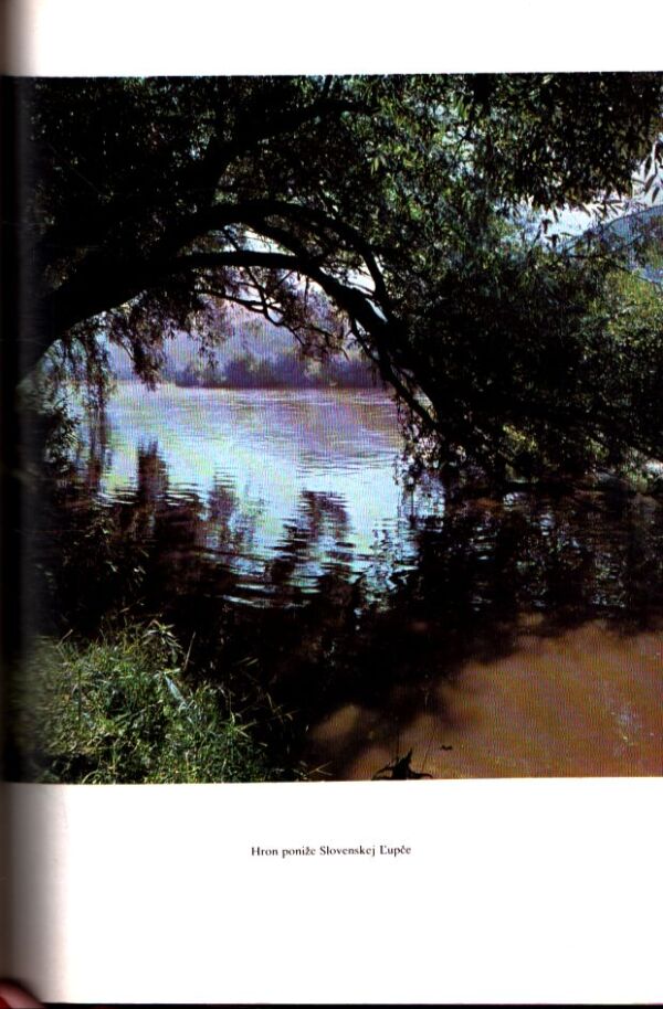 Hieroným Oravský: SLOVENSKÁ ĽUPČA