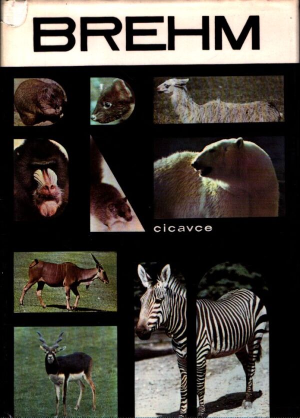 Alfred Edmund Brehm: 