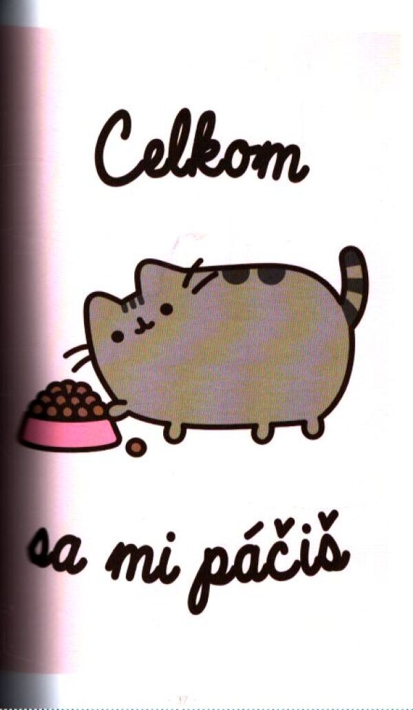 Claire Belton: DÚHOVÝ ŽIVOT MAČIČKY PUSHEEN