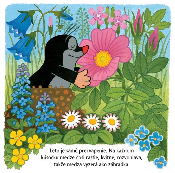 Zdeněk Miler: KRTKO A LETO - LEPORELO