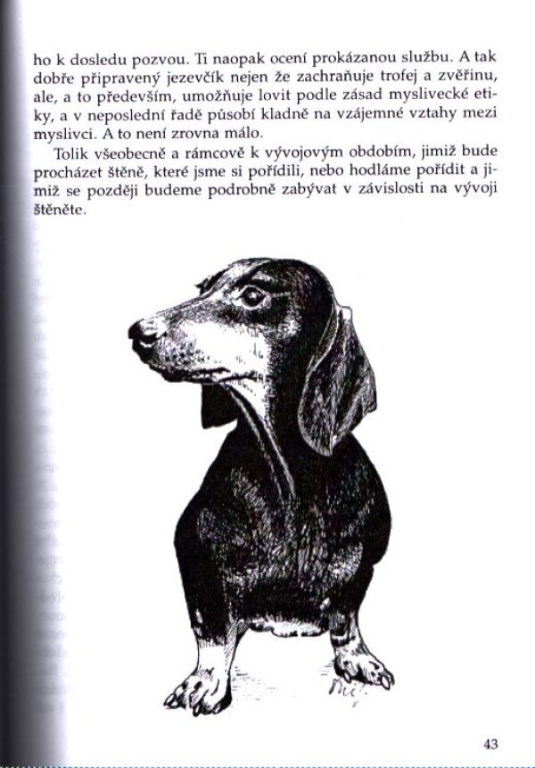 Václav Vochozka: JEZEVČÍCI V MYSLIVECKÉ PRAXI