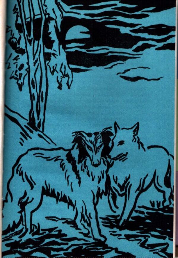 Jack London: BIELY TESÁK