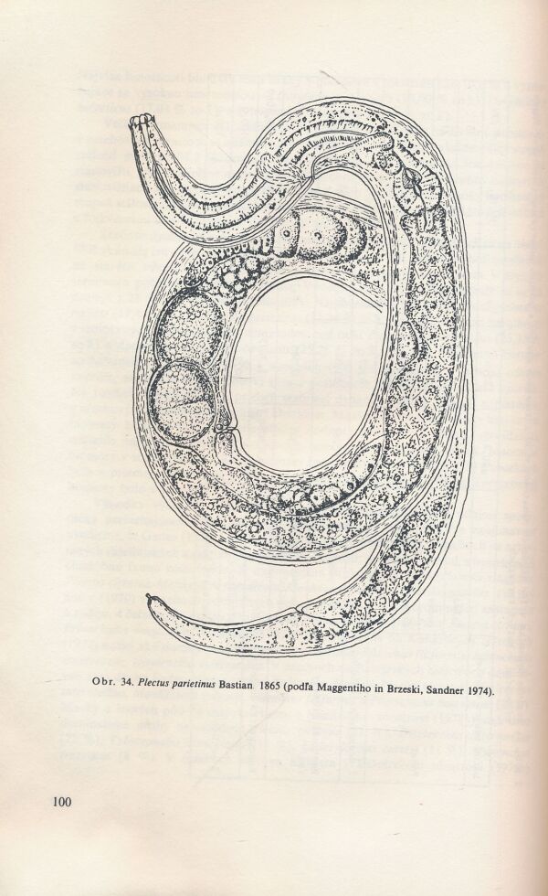 Anton Šály: Voľne žijúce nematódy v SSR