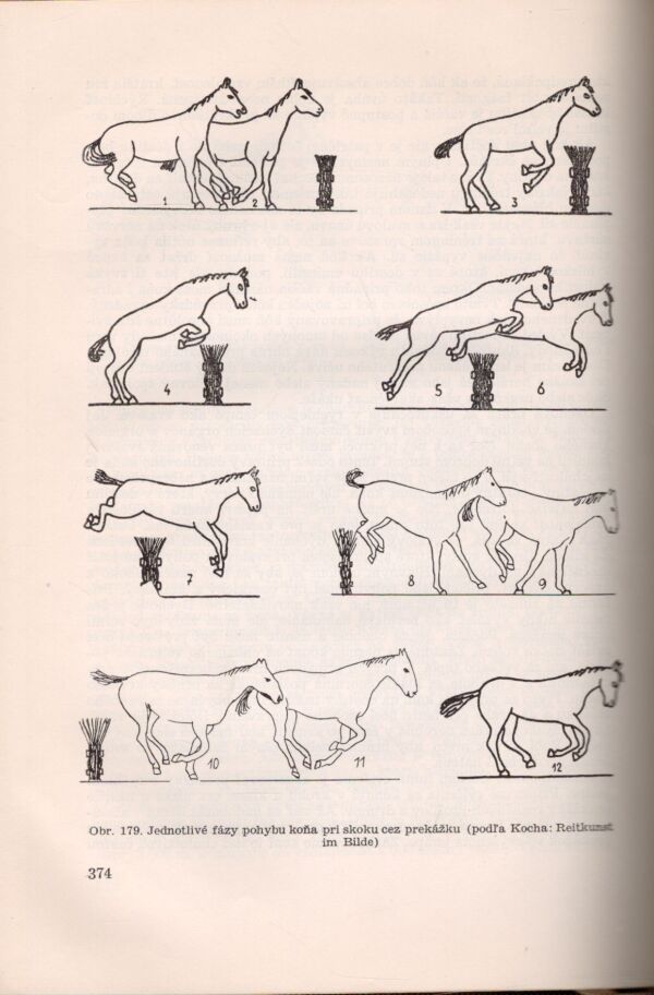 Š. Hörman a kol.: CHOV KONÍ