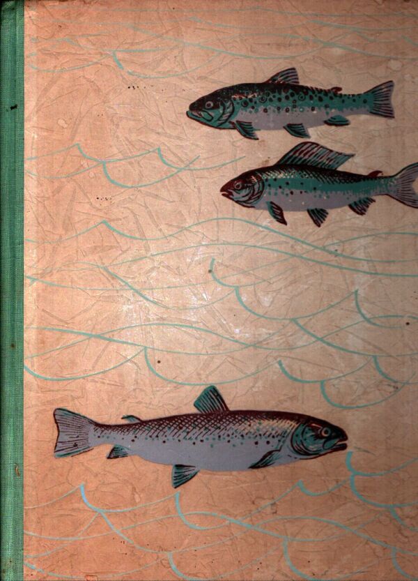 S. Dyková, V. Dyk: SVET BYSTRÍN A HORSKÝCH RIEK