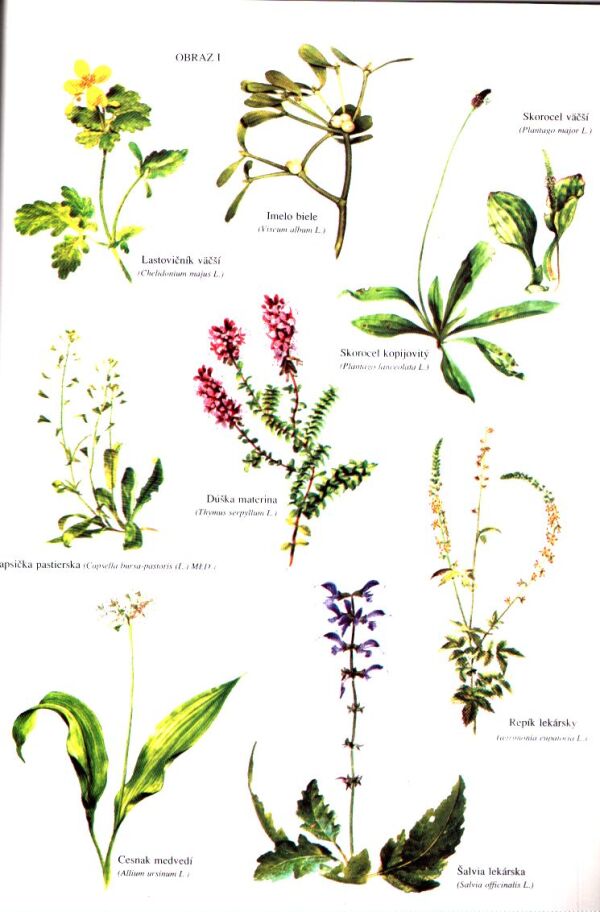 Maria Trebenová: ZDRAVIE Z BOŽEJ LEKÁRNE