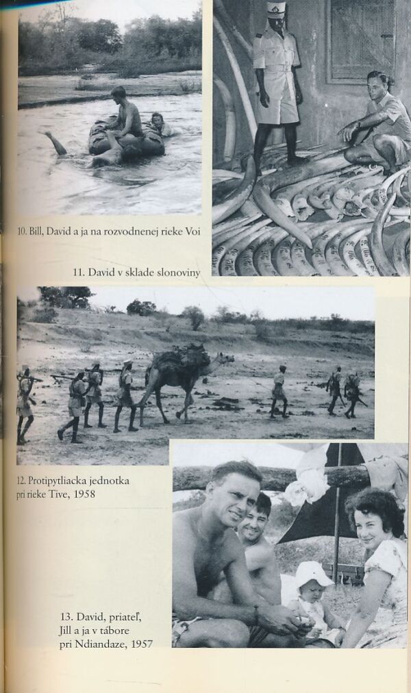 Daphne Sheldricková: Africký príbeh lásky