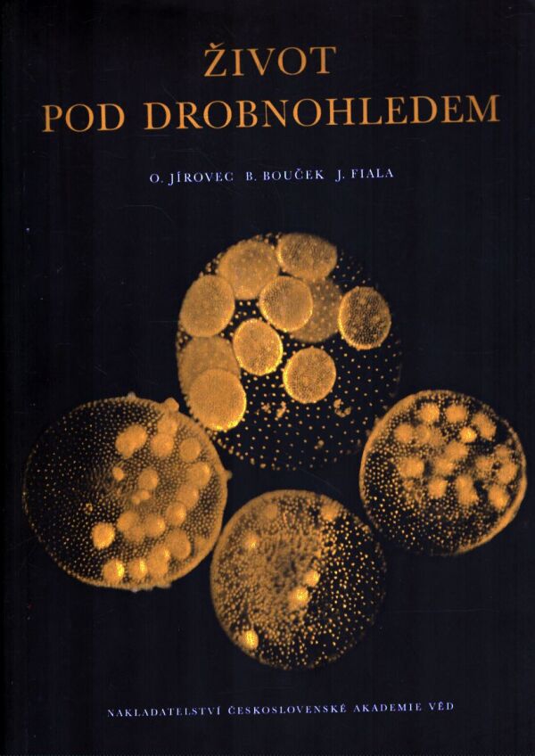 O. Jírovec, B. Bouček, J. Fiala: