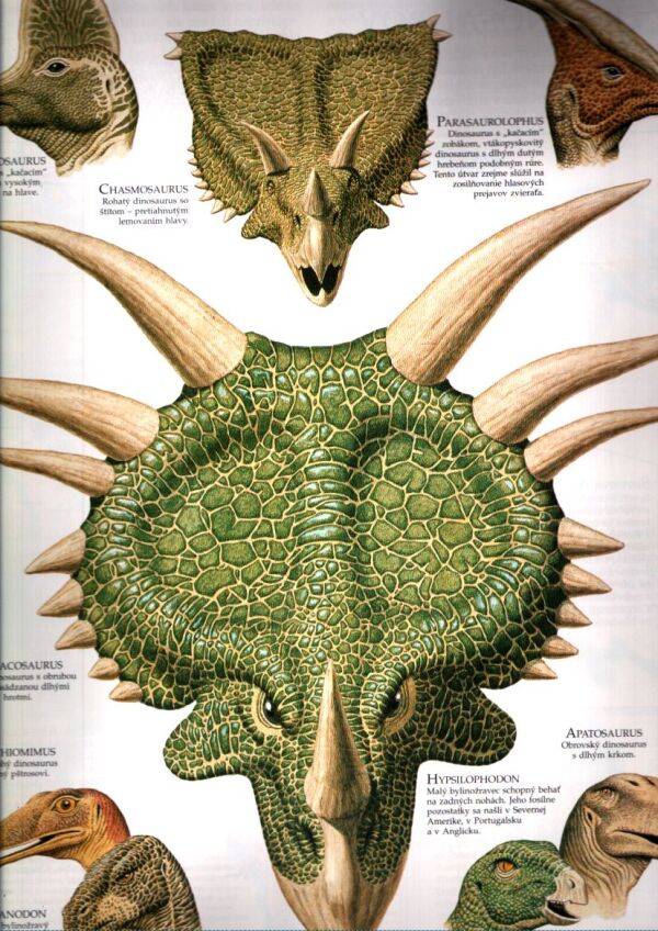 OBRAZOVÝ ATLAS DINOSAUROV