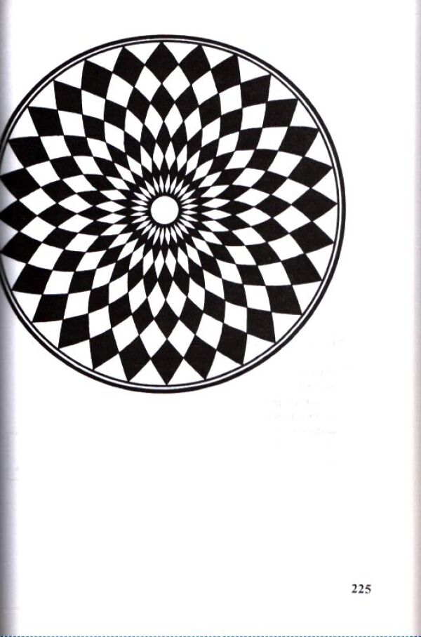 Rüdiger Dahlke: MANDALY SVĚTA