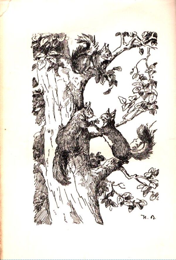 Felix Salten: MLADOSŤ VEVERIČKY PERRI