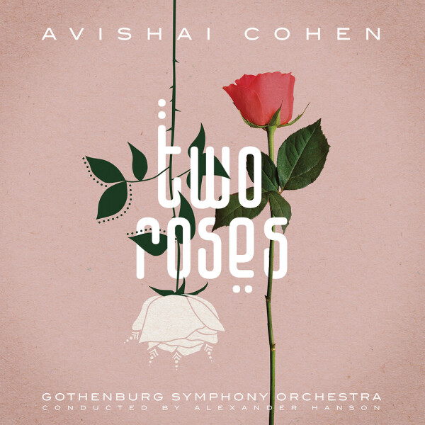 Avishai Cohen: