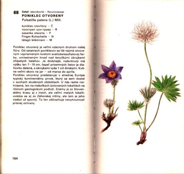 D. Magic, E. Bosáčková, J. Krejča, O. Ušák: ATLAS CHRÁNENÝCH RASTLÍN
