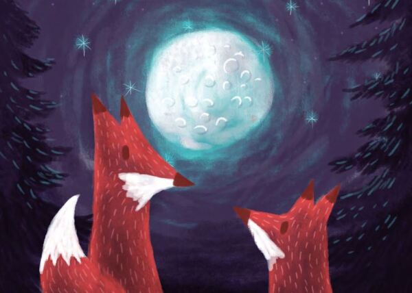 Róbert Farkas: MOJA PRVÁ KNIHA O VESMÍRE