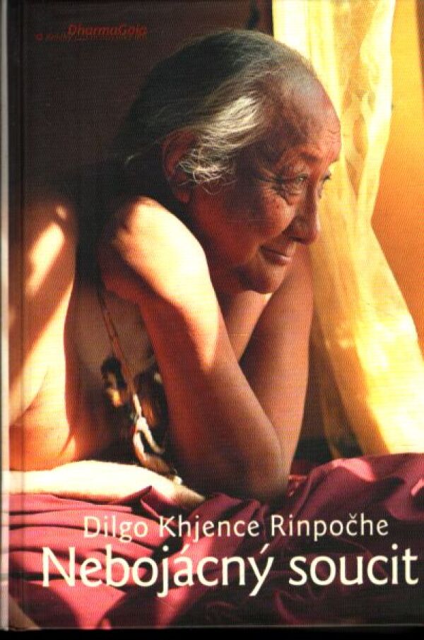 Dilgo Khjence Rinpočhe: NEBOJÁCNÝ SOUCIT