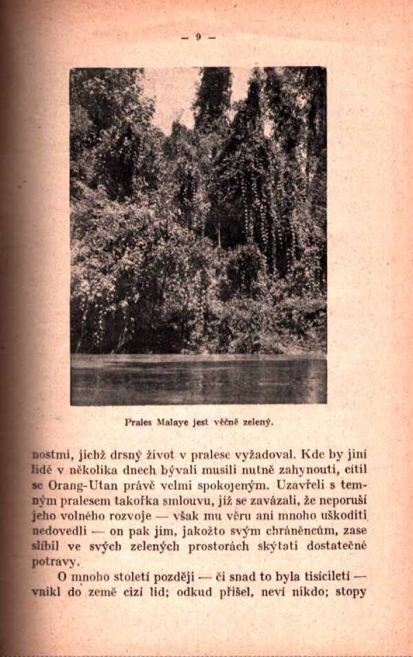 P. Šebesta, R. Cicvárek: SVÍTÁNÍ NAD PRALESEM. ASIJSKÉ PROBLÉMY A NAŠE VYSTĚHOVALECTVÍ