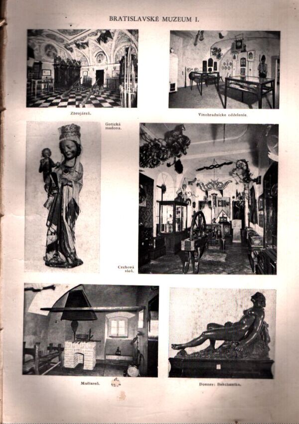 SLOVENSKÝ NÁUČNÝ SLOVNÍK I.