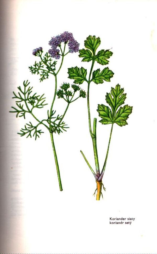 L. Thurzová, kol: MALÝ ATLAS LIEČIVÝCH RASTLÍN