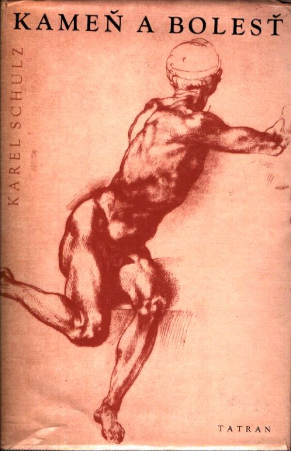 Karel Schulz: KAMEŇ A BOLESŤ