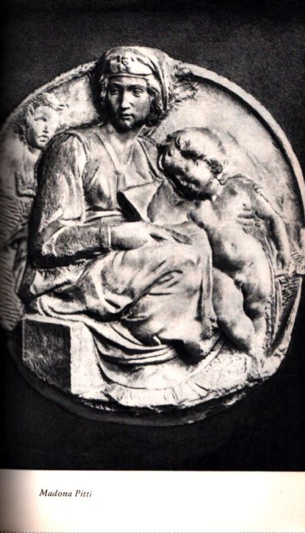 Karel Schulz: KAMEŇ A BOLESŤ