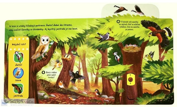 PRVÉ OBJAVY - KRÁSNE VTÁKY