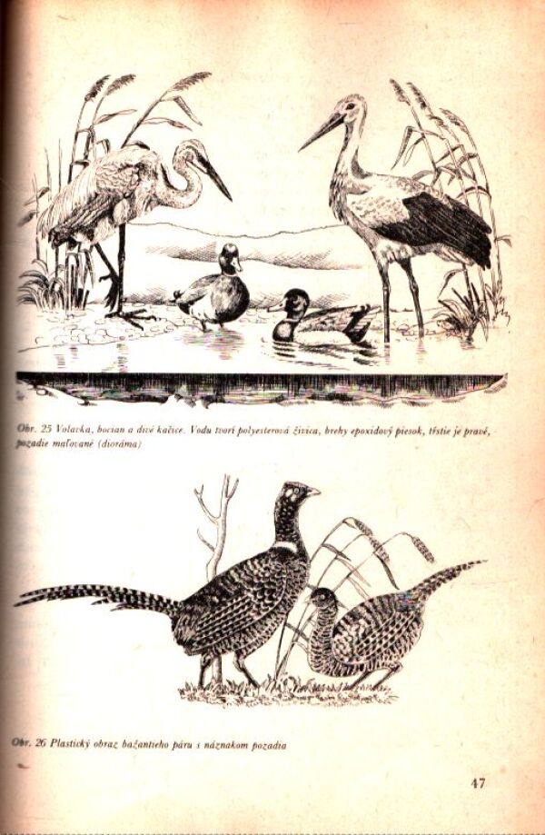 I. Roszkopf: POĽOVNÍCKE TROFEJE A VÝROBKY