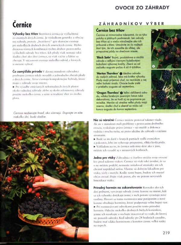 TAJOMSTVÁ STARÉHO ZÁHRADNÍKA