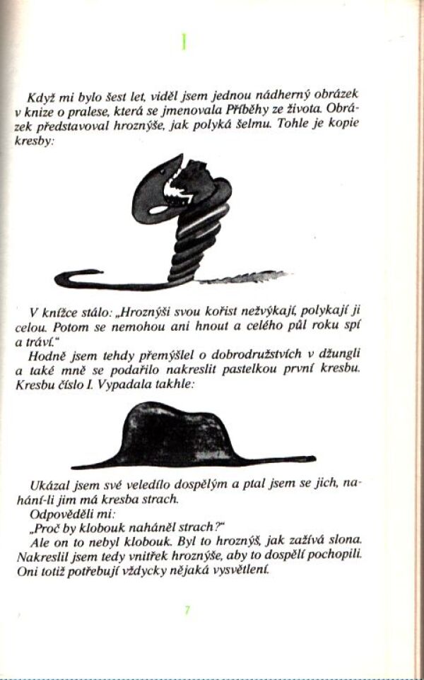 Antoine de Saint-Exupéry: MOJE PLANETA