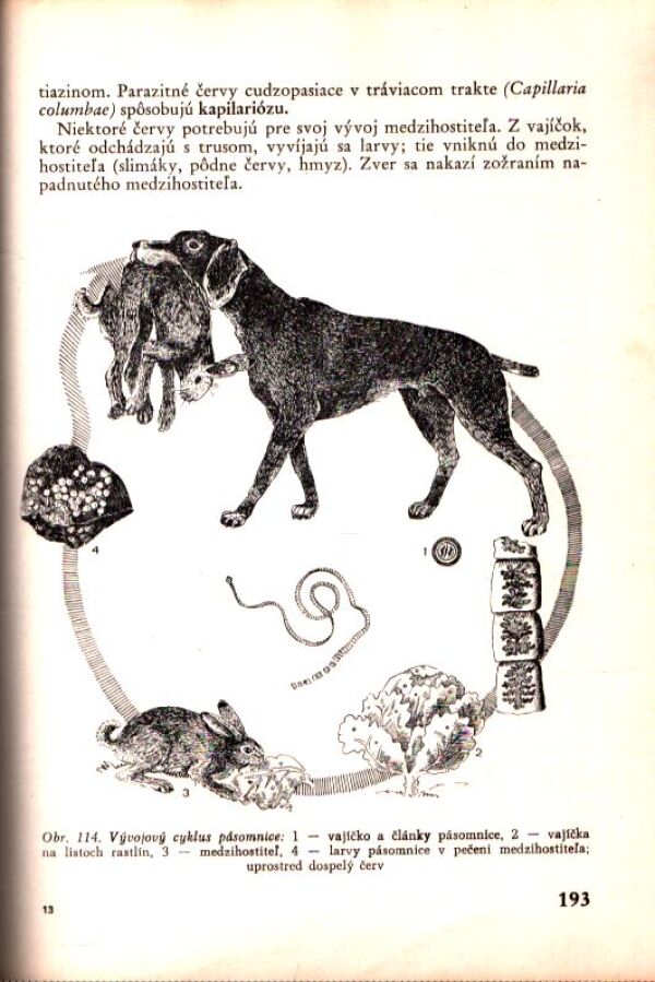 Ľudovít Bancík, kol: ZÁKLADY POĽOVNÍCTVA