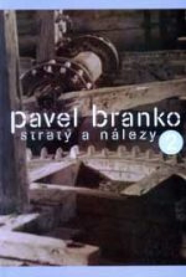 Pavel Branko: