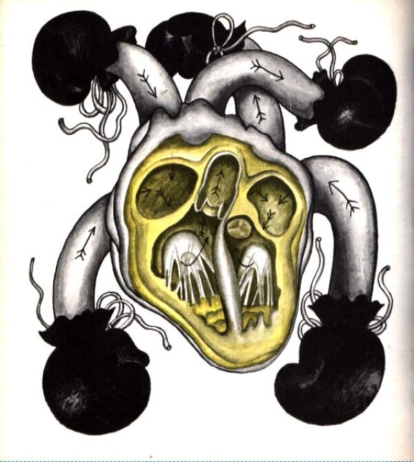 Tomáš Janovic: ÓDA PO ZET