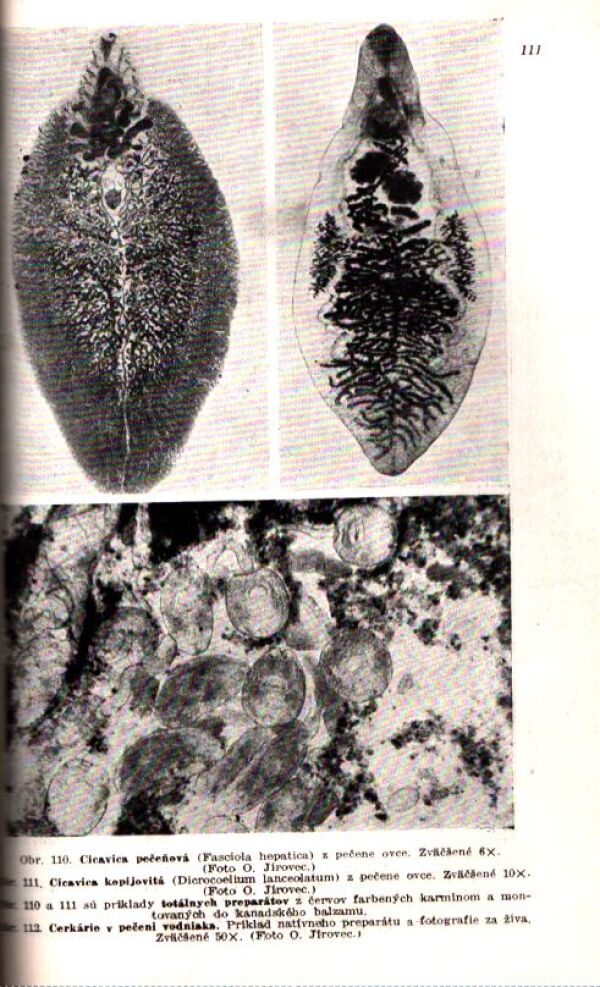 O. Jírovec: ZOOLOGICKÁ TECHNIKA
