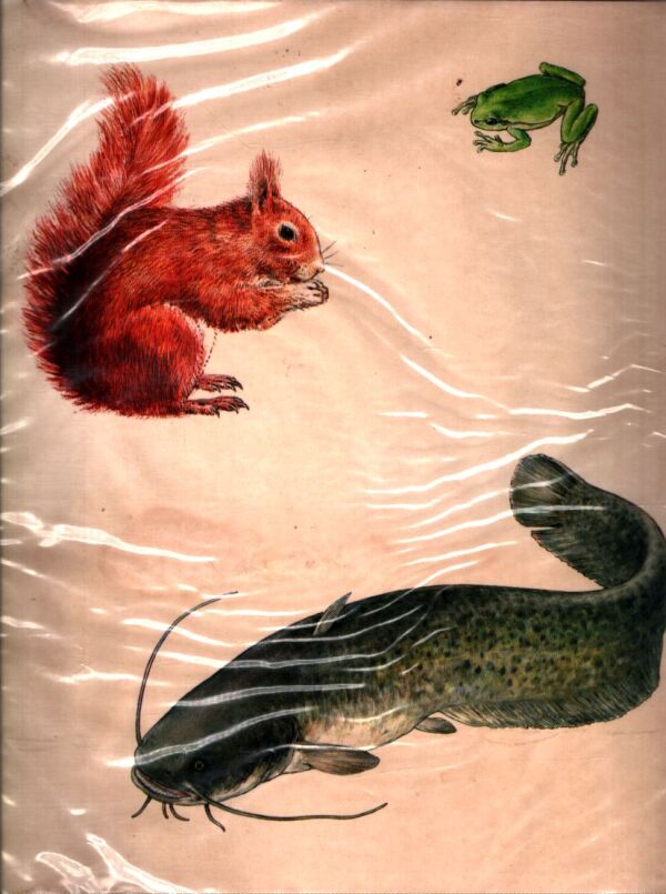 Z NAŠEJ PRÍRODY - ŽIVOČÍCHY