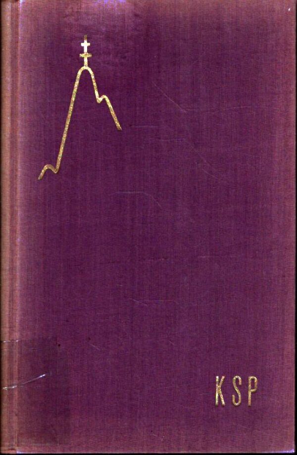 Štefan Gráf: V HORÚCOM PRÍBOJI