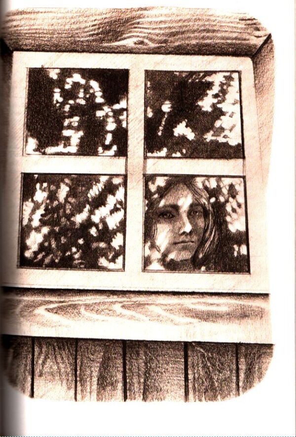 Terézia Vansová: SIROTA PODHRADSKÝCH