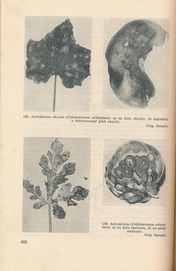 Zemědělská fytopatologie 1-4