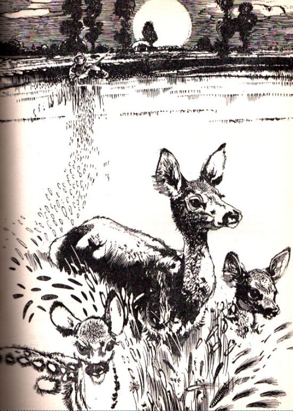 Milan Rajský: ČLOVEK NIE JE ZVIERA