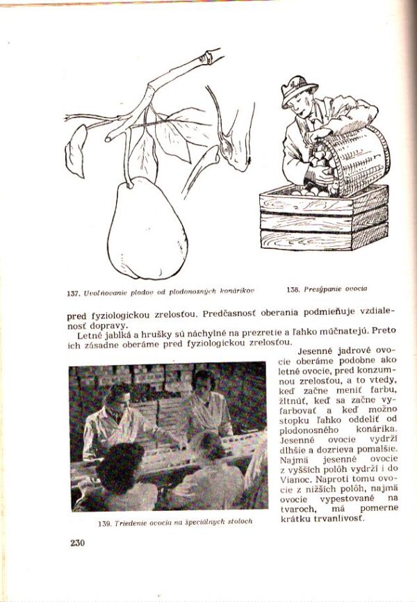 Vávra, Peiker, Kyncl: OVOCINÁRSTVO