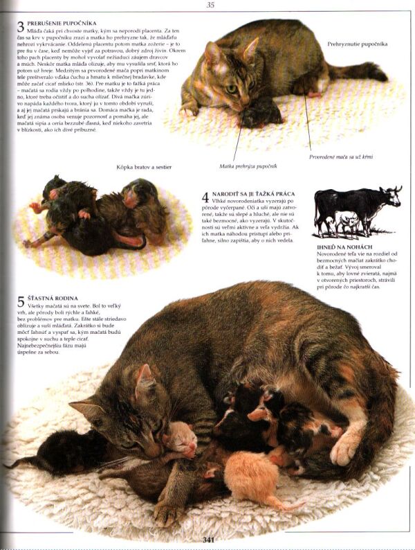 David Burnie, kol: RÍŠA ZVIERAT