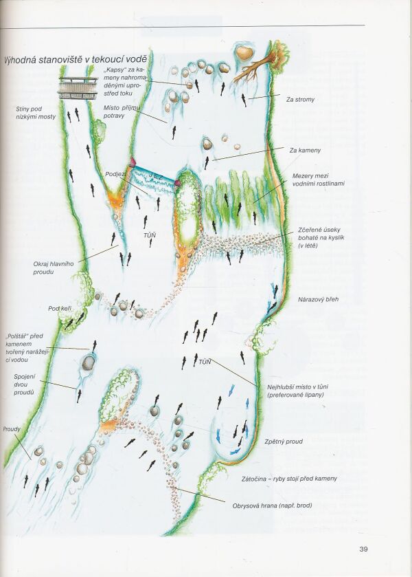 Jak se loví s muškou