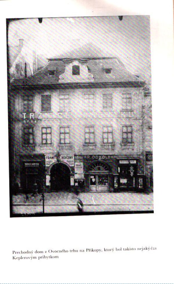 František Gel: SYN ČARODEJNICE