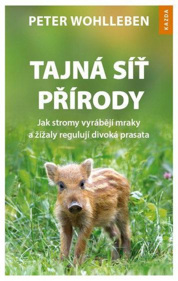 Peter Wohlleben: TAJNÁ SÍŤ PŘÍRODY