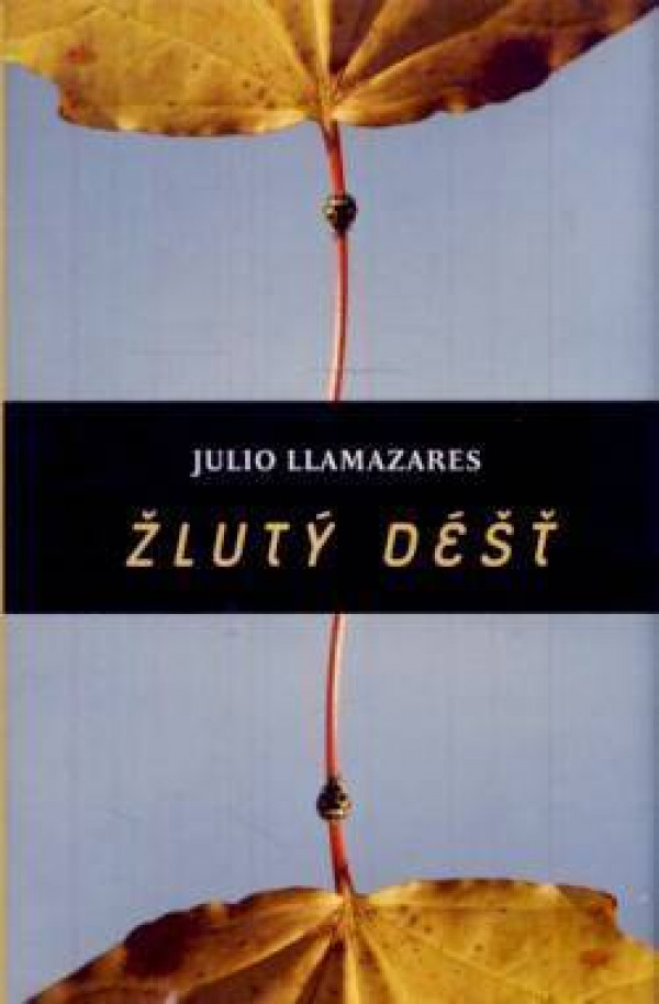 Julio Llamazares: 