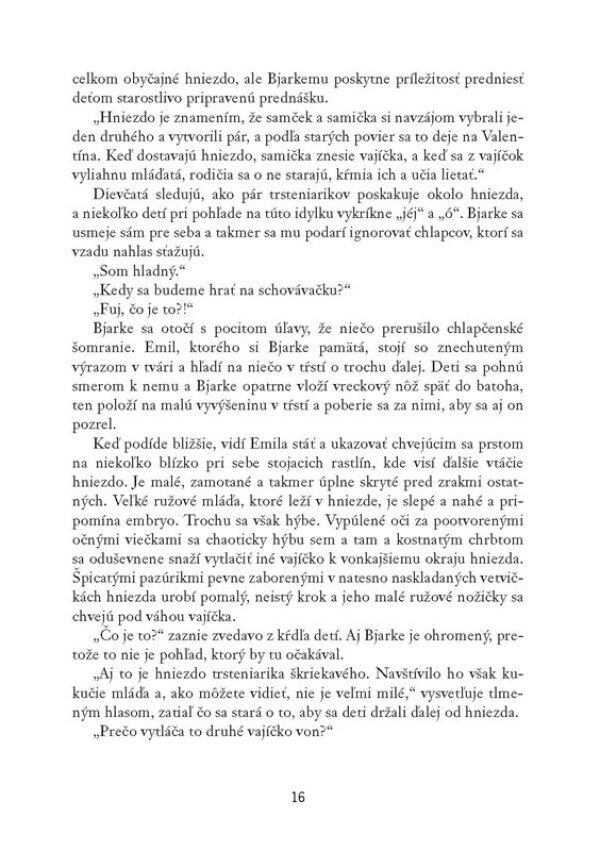 Soren Sveistrup: VTÁČATKO