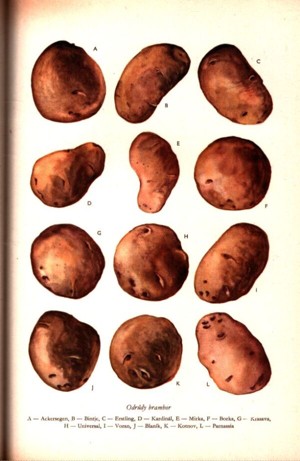 TISÍC DOBRÝCH RAD MLADÝM OVOCNÁŘŮM, KVĚTINÁŘŮM, ZELINÁŘŮM,