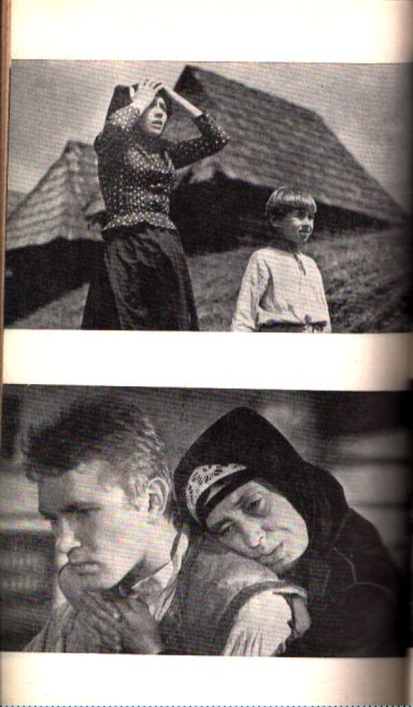 Milo Urban: ŽIVÝ BIČ