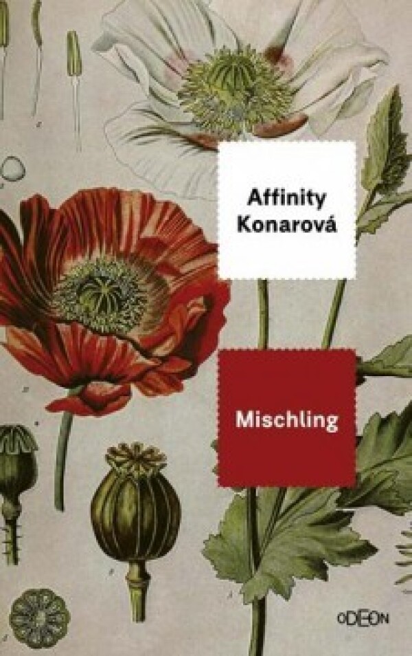 Affinity Konarová: MISCHLING